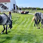 Tenger-szem Panzió és Lovasudvar