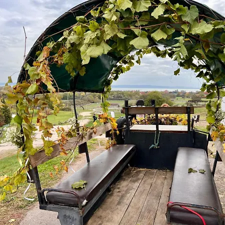 Bed & Breakfast Tenger-szem Panzio Es Lovasudvar *
