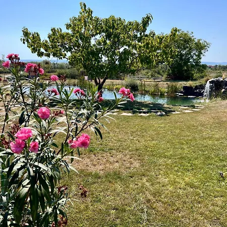 Bed & Breakfast Tenger-szem Panzio Es Lovasudvar