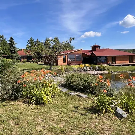 Bed & Breakfast Tenger-szem Panzio Es Lovasudvar *