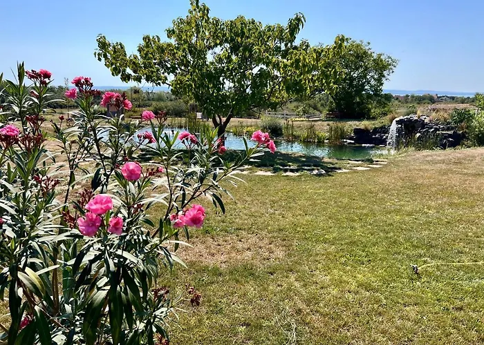 B&B Tenger-szem Panzio Es Lovasudvar